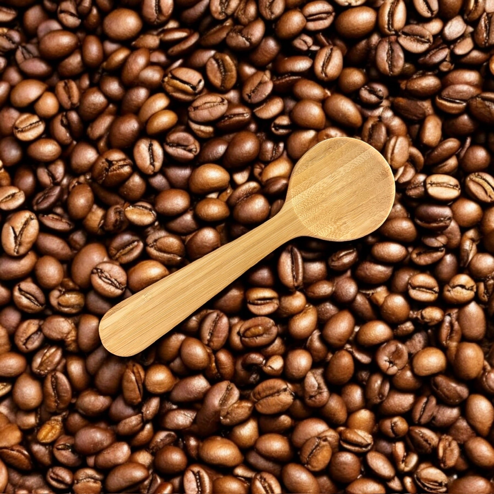 Bamboo Coffee Clip Scoop