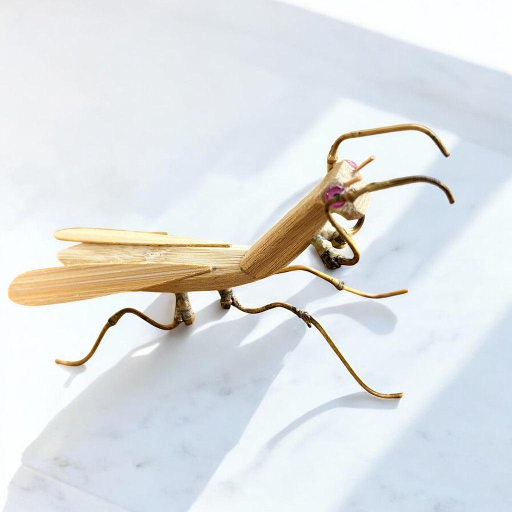 Bamboo Praying Mantis