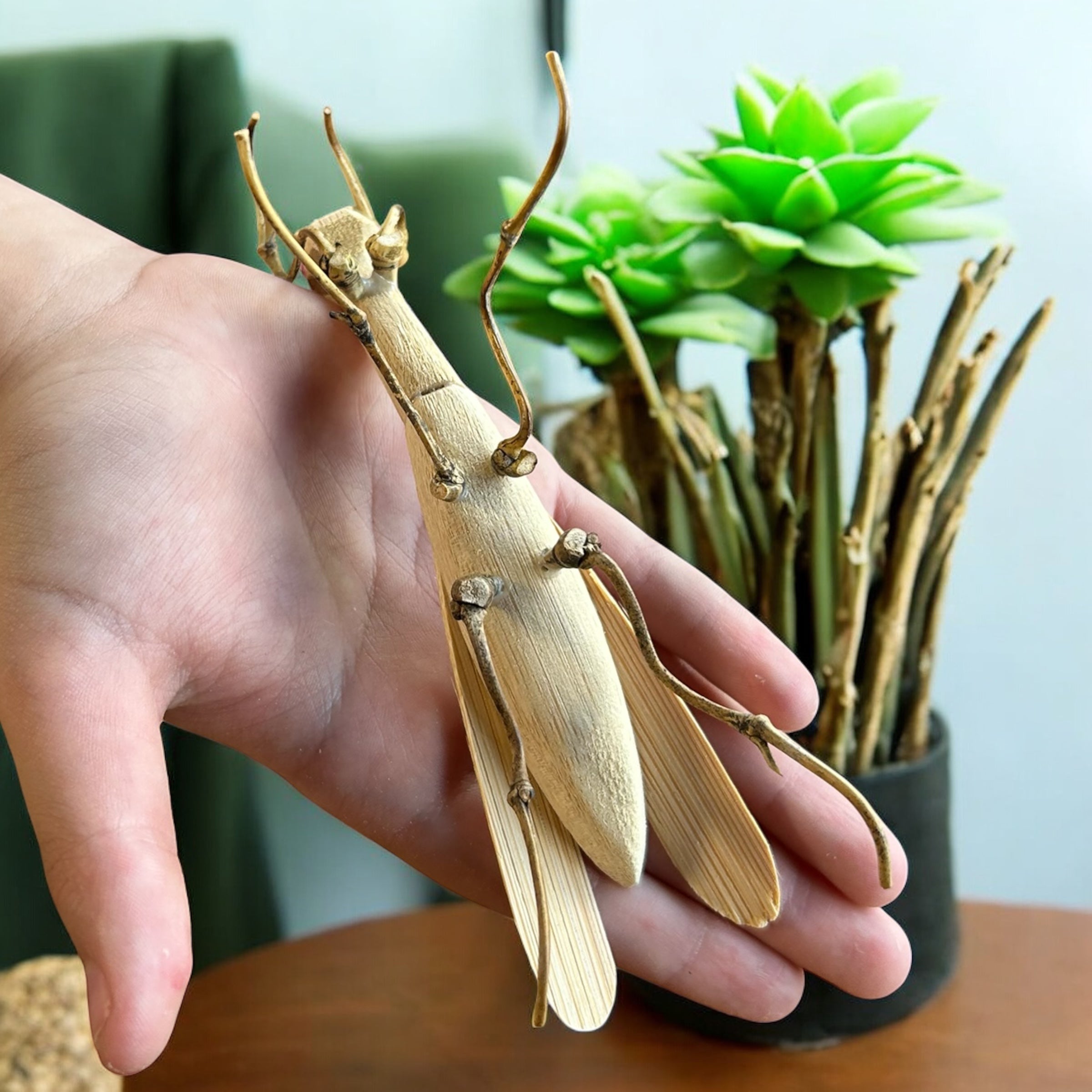 Bamboo Praying Mantis