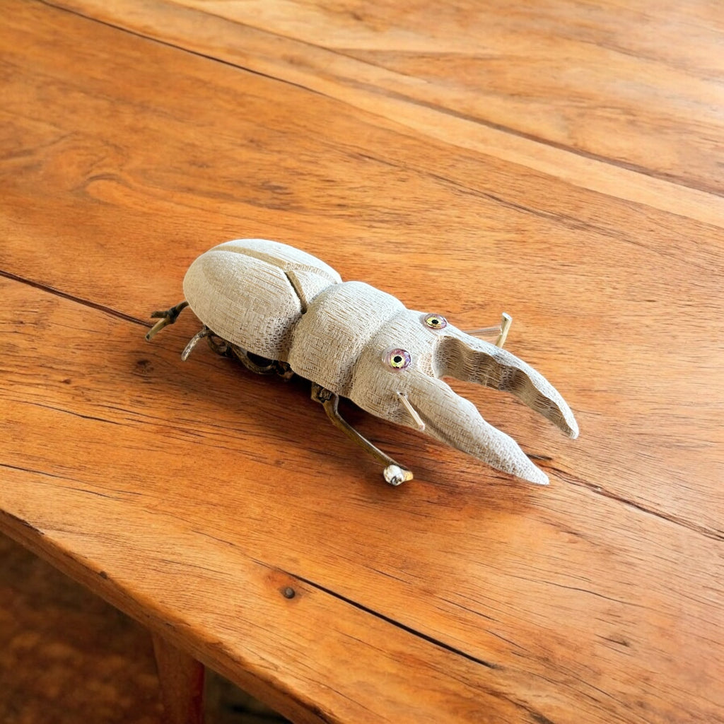 Bamboo Stag Beetle