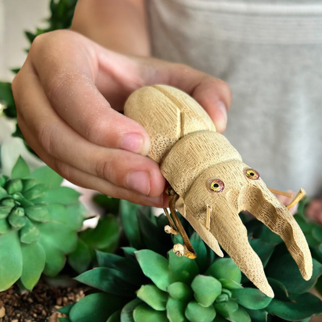 Bamboo Stag Beetle