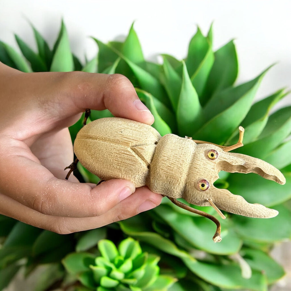 Bamboo Stag Beetle