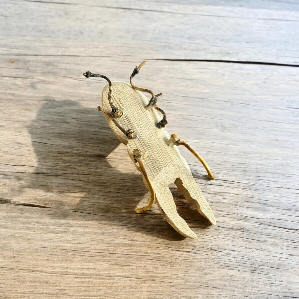 Bamboo Stag Beetle