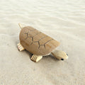 Bamboo Turtle