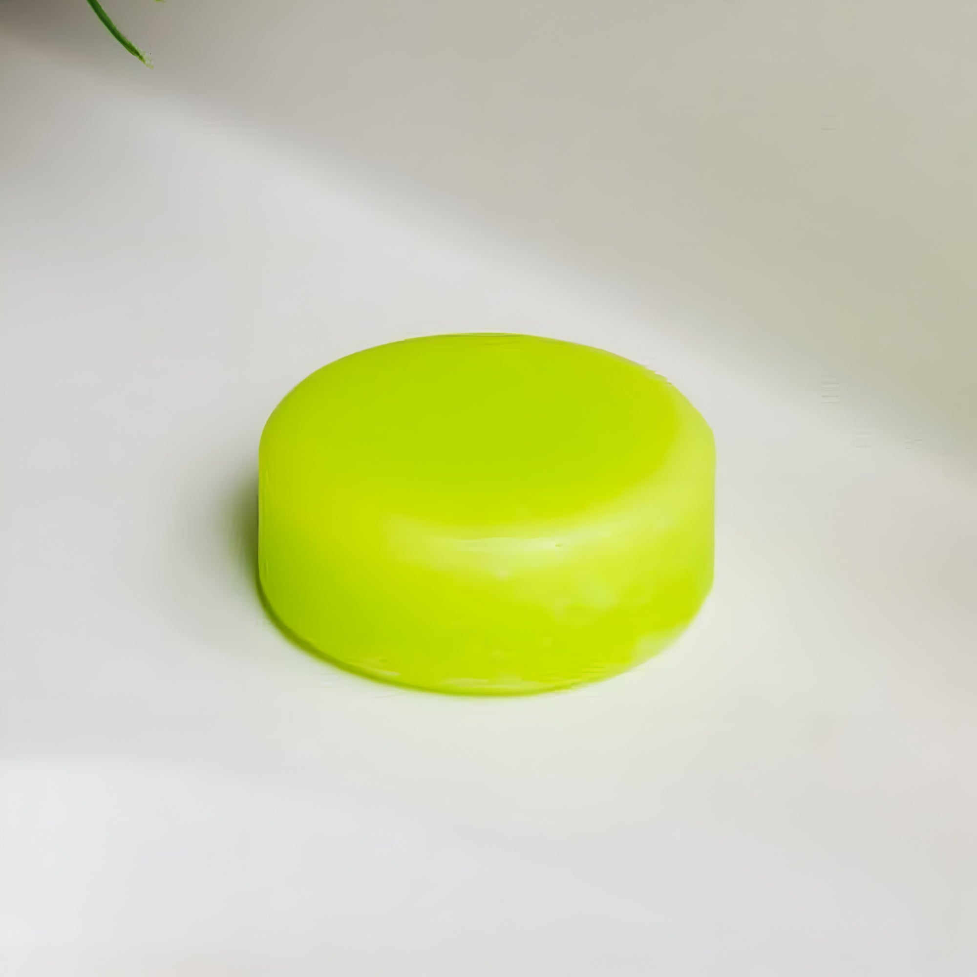 Conditioner Bar | Aloe
