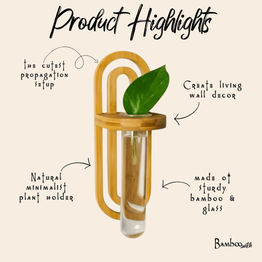 Bamboo Propagation Planter | Wall Vase